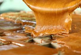 panelaorganica_1563152190